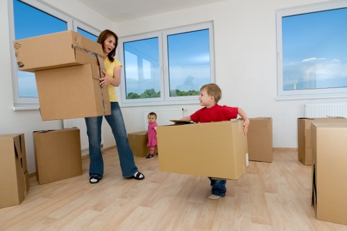 Careful transport of boxes and household items